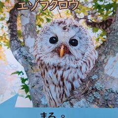 お昼ご飯とカラオケ