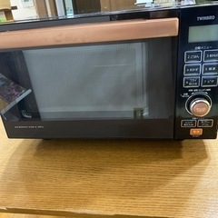 TWINBIRD DR-E851型
