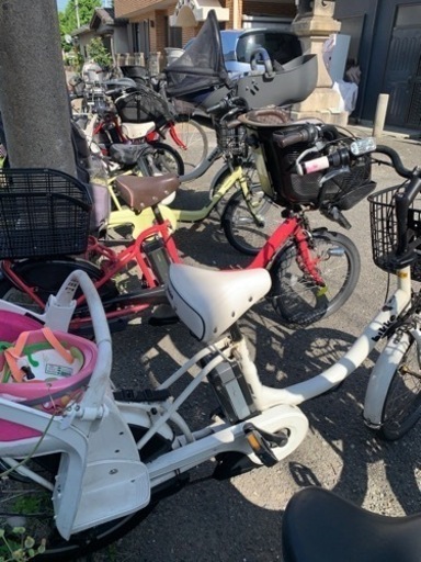 ❤️❤️❤️❤️お買い得❤️❤️❤️❤️❤️ビッケ❤️❤️❤️❤️