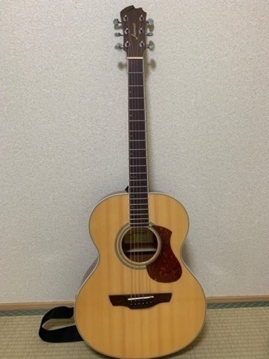 James アコギ　カバー・ギタースタンド付けます(取引5/29まで)