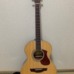 James アコギ　カバー・ギタースタンド付けます(取引5/29まで)