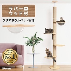 キャットタワー 1ヶ月使用