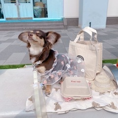 犬友募集🐶🐾