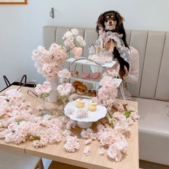 犬友募集🐶🐾 − 東京都