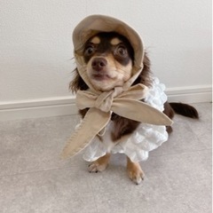 犬友募集🐶🐾 - 友達