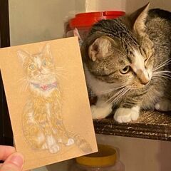 【5月26日（金）】池袋の保護猫カフェで「​猫のいる猫の絵教室」🐈の画像