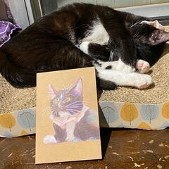 【5月26日（金）】池袋の保護猫カフェで「​猫のいる猫の絵教室」🐈の画像
