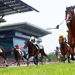 【初心者歓迎】競馬会🐎 - 品川区