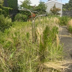 みかん農業と便利屋の会社(宿泊施設有)の画像