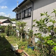 みかん農業と便利屋の会社(宿泊施設有)の画像
