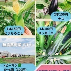 親子で楽しむ収穫イベント