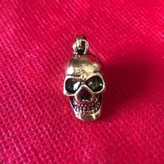 ☠️【 ペンダントTOP 】💀の画像