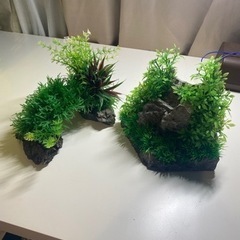 水槽　オブジェ