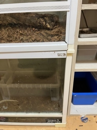 爬虫類ケージ９０センチ2つ