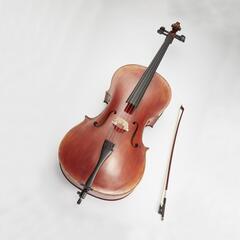チェロ好きな方　練習会に来ませんか？初心者歓迎