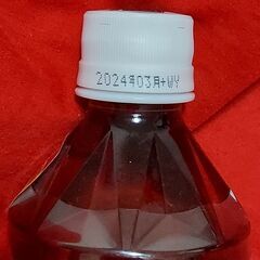 SUNTORY 烏龍茶 600ml【新品】の画像