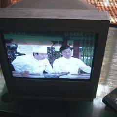 アナログのテレビデオ