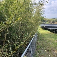 鹿児島県姶良市　太陽光発電所の除草　