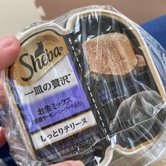 Sheba 一皿の贅沢　しっとりテリーヌ