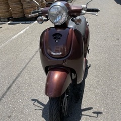 ホンダジョルノ AF70  HONDA GIORNO - SALE 