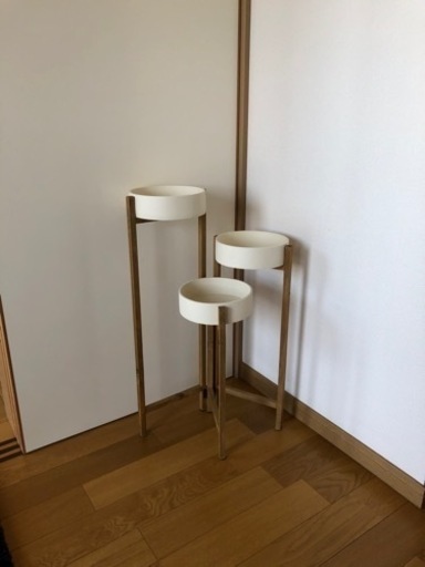 プランター（お話中）