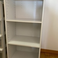 ニトリカラボ②