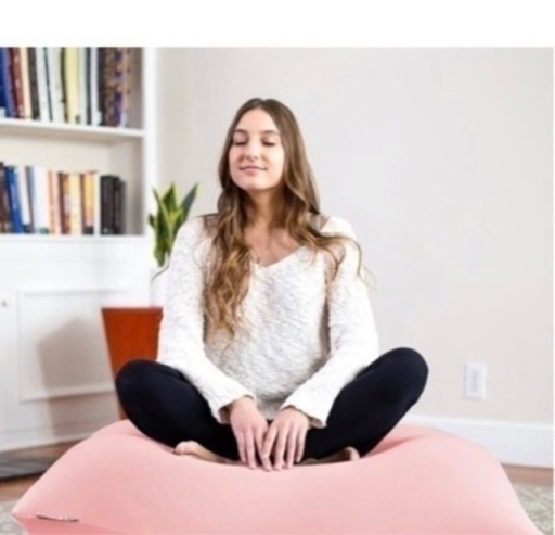 新品未使用 Yogibo Mini ヨギボー ミニ  フラミンゴ