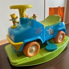 動物　車　