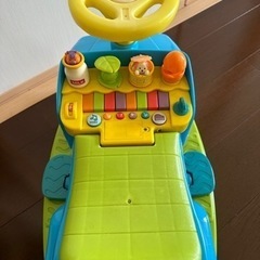 動物　車　の画像