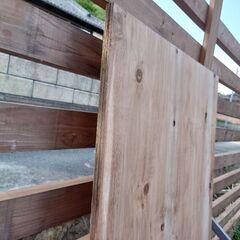 24mm建築用合板