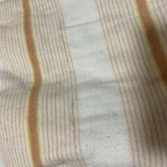 電気掛けしき毛布