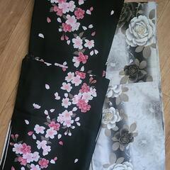 薔薇🌹 桜🌸