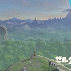 ゼルダの伝説ブレスオブザワイルド好きな方