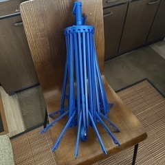 本日のみです！
