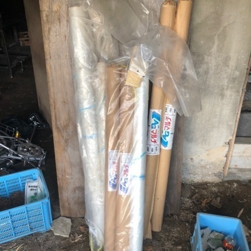 透明マルチ　農業