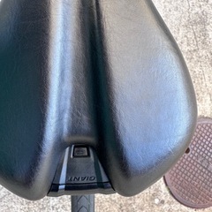 brand new Giant GRAVIER 2021の画像