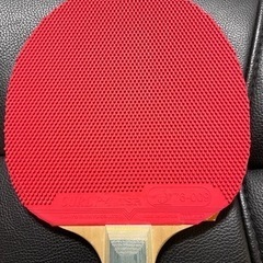 超美品 DONICラケット ラバー付き(狂飈、CURL P-4)の画像
