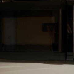 山善 電子レンジ 17L