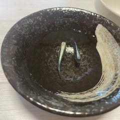 メダカの卵の画像