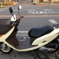 店頭で決まりました^^; HONDA AF62 ディオ　チェスタ...
