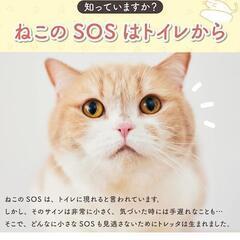 【未開封品】トイレッタ 猫用スマートトイレ の画像