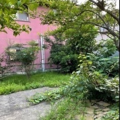 一軒家庭の草刈り