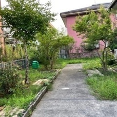 一軒家庭の草刈り - 新潟市