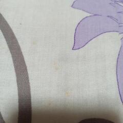 ガーゼ 肌掛け布団✨新品/夏用掛ふとん(肌掛)の画像