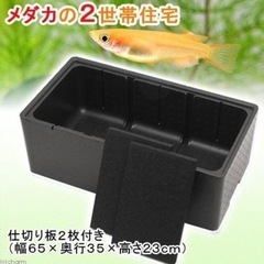 メダカの二世帯住宅　チャーム　飼育容器　PSB