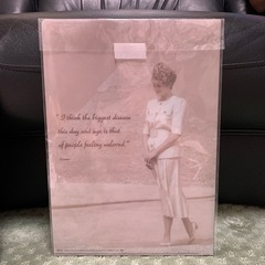 クリアファイル2の画像