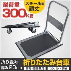 【新品】耐荷重300kg　折りたたみ台車 スチール製 AT059Bの画像