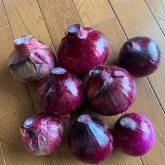 【送料無料】無農薬　紫たまねぎ　新玉ねぎ　採れたて新鮮　約2kg...