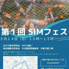5月14日　メダカイベント　めだか