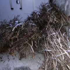 ☆キャンプ用の薪や枝☆の画像